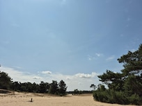 Duinen.