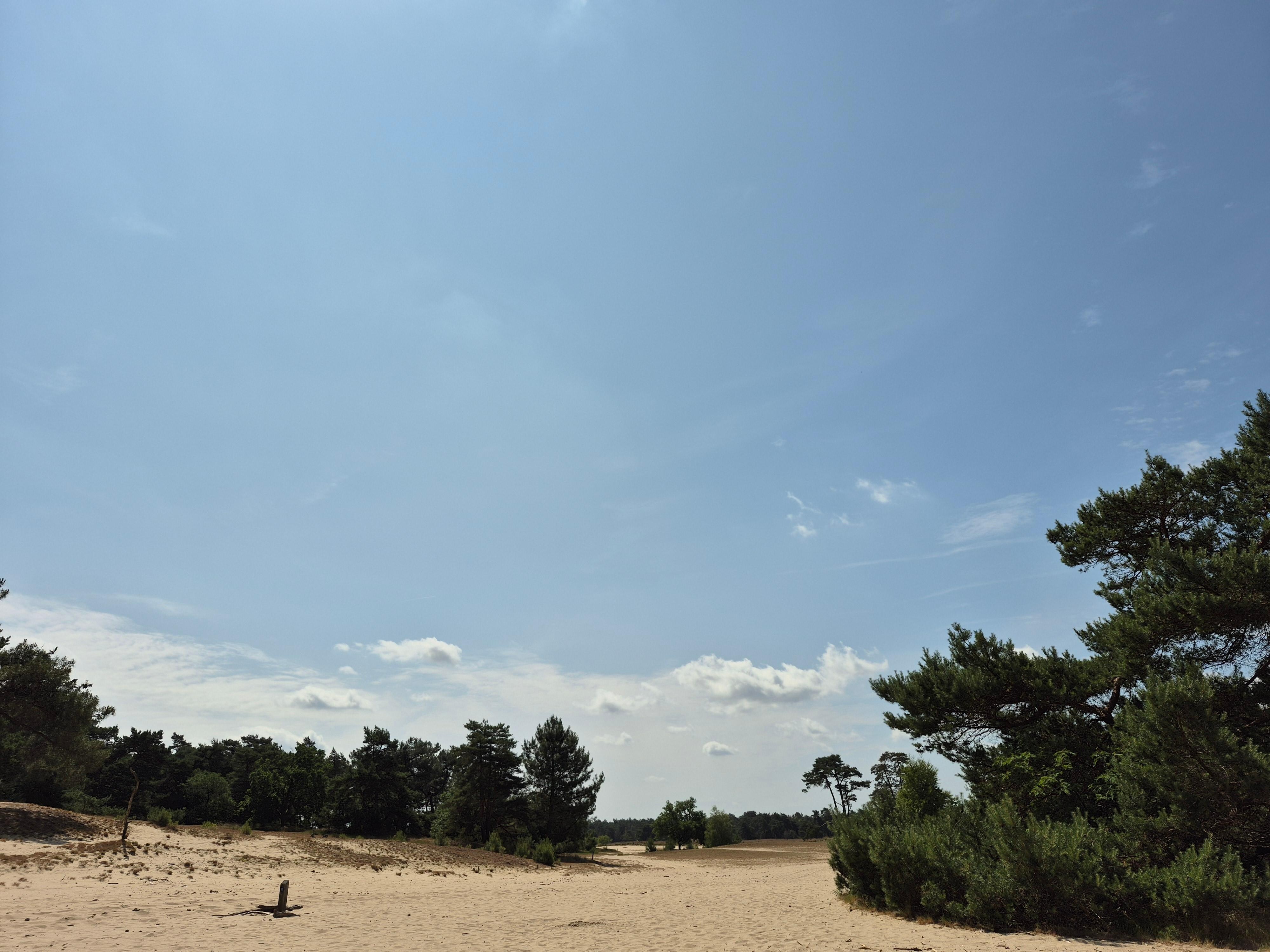 Duinen.