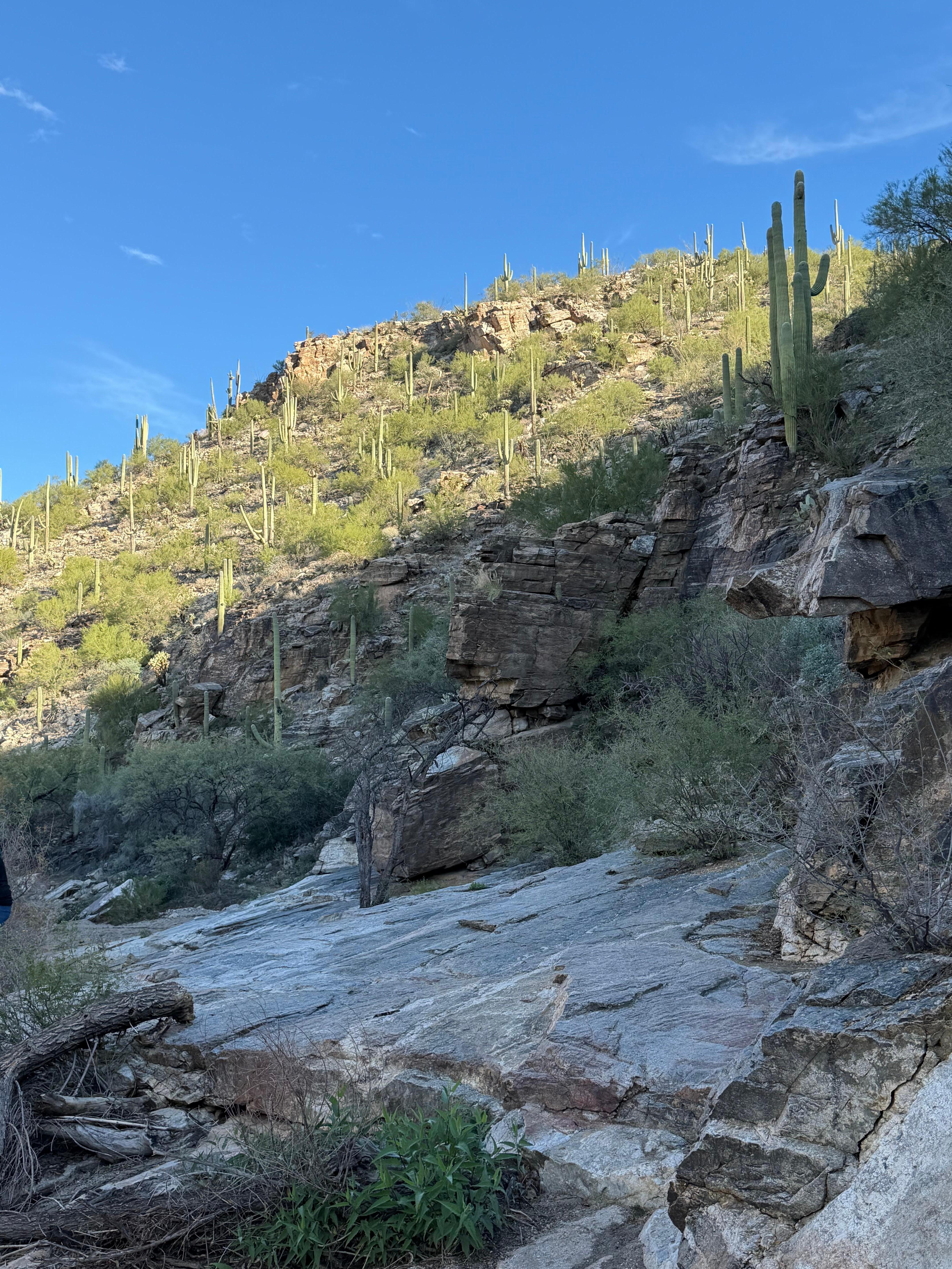 Hiked the Sabino Canyon