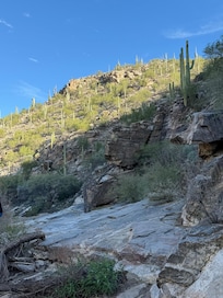 Hiked the Sabino Canyon