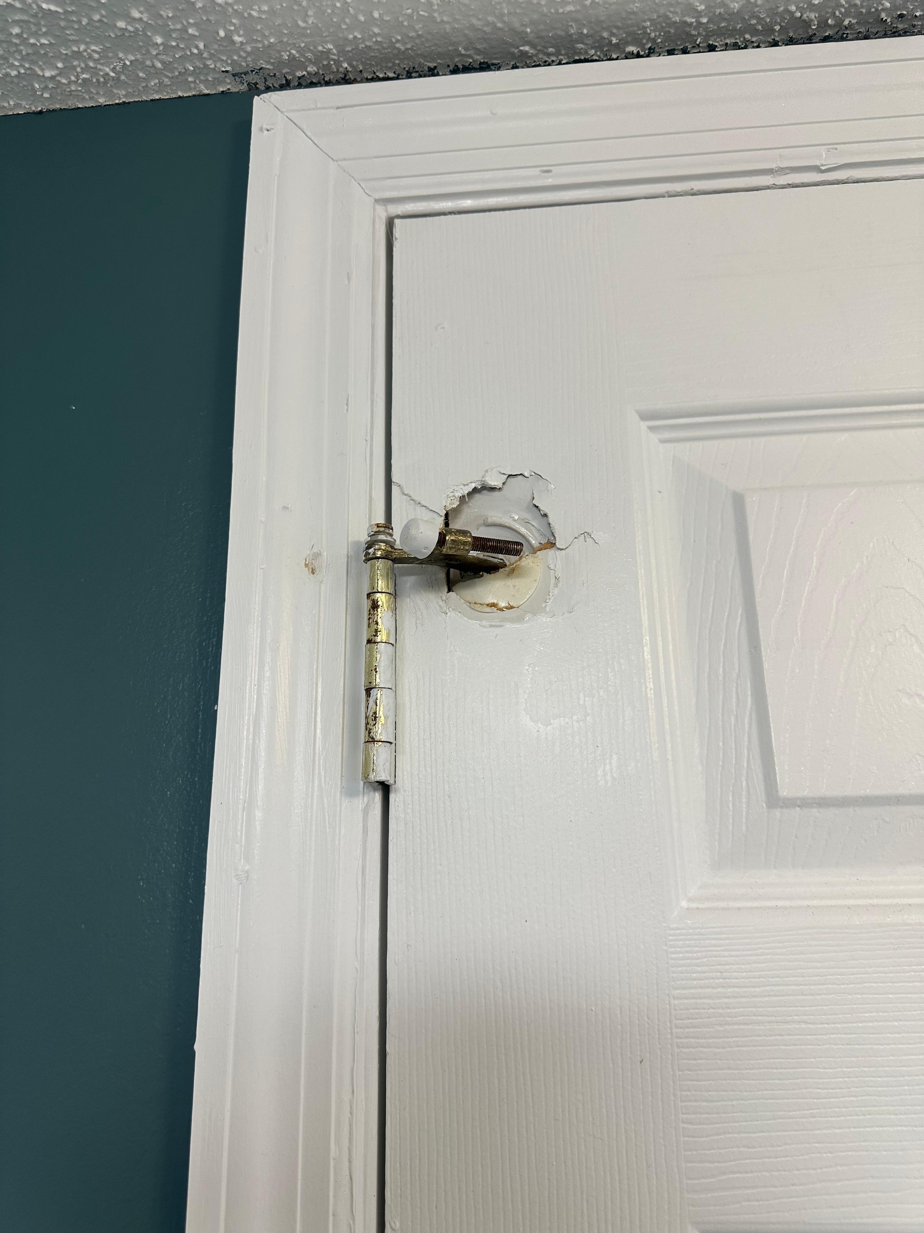 Bathroom door that looked like the ceilings 