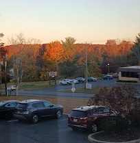 View from my room.