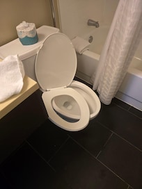 Toilet seat broke