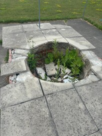 “New fire pit” not allowed to use.