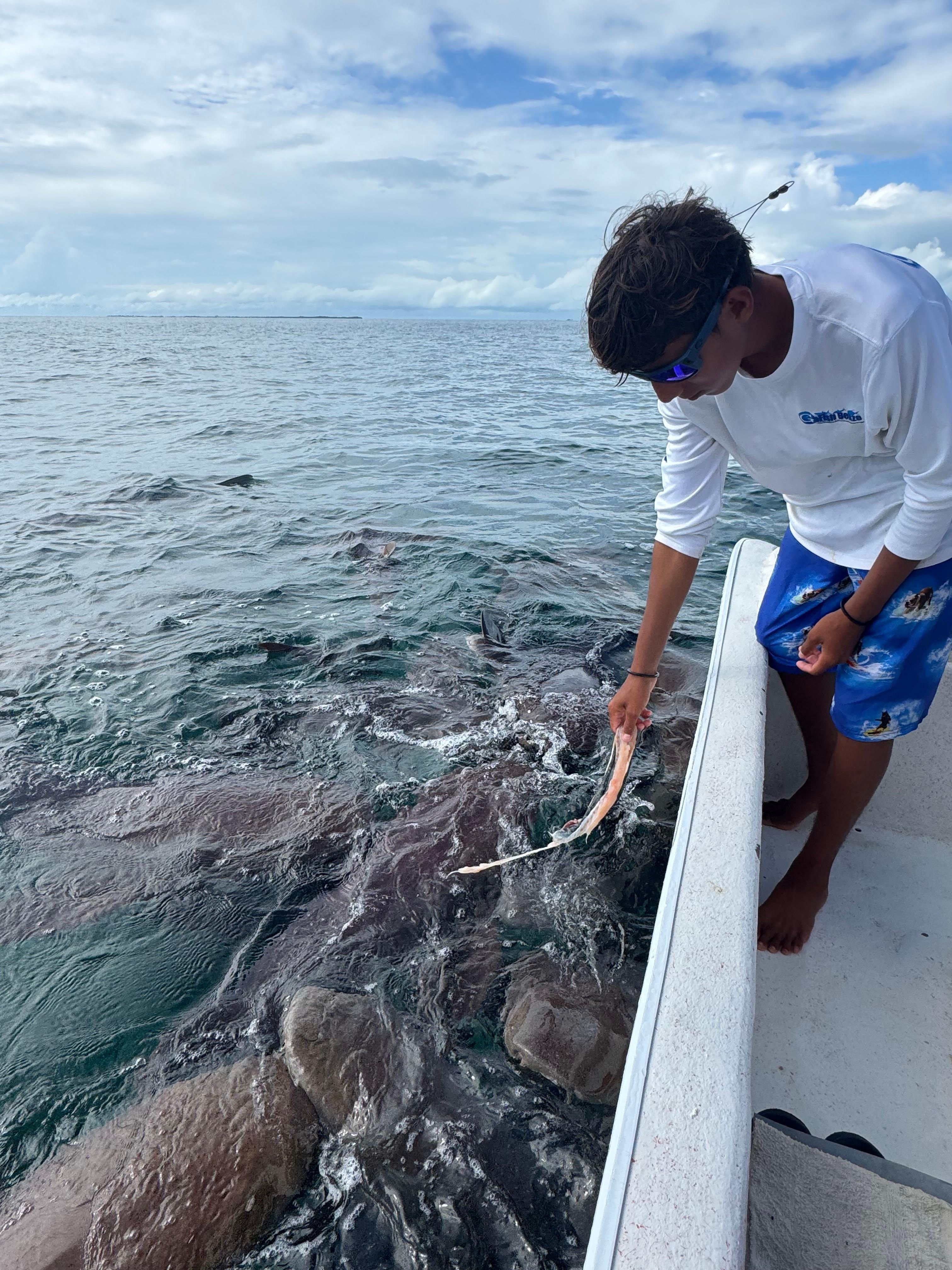 Book a boat tour with Lagi next door to Caye Casa.