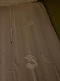 Box spring under mattress- Kleenex, sunflower seed shells and finger nail package