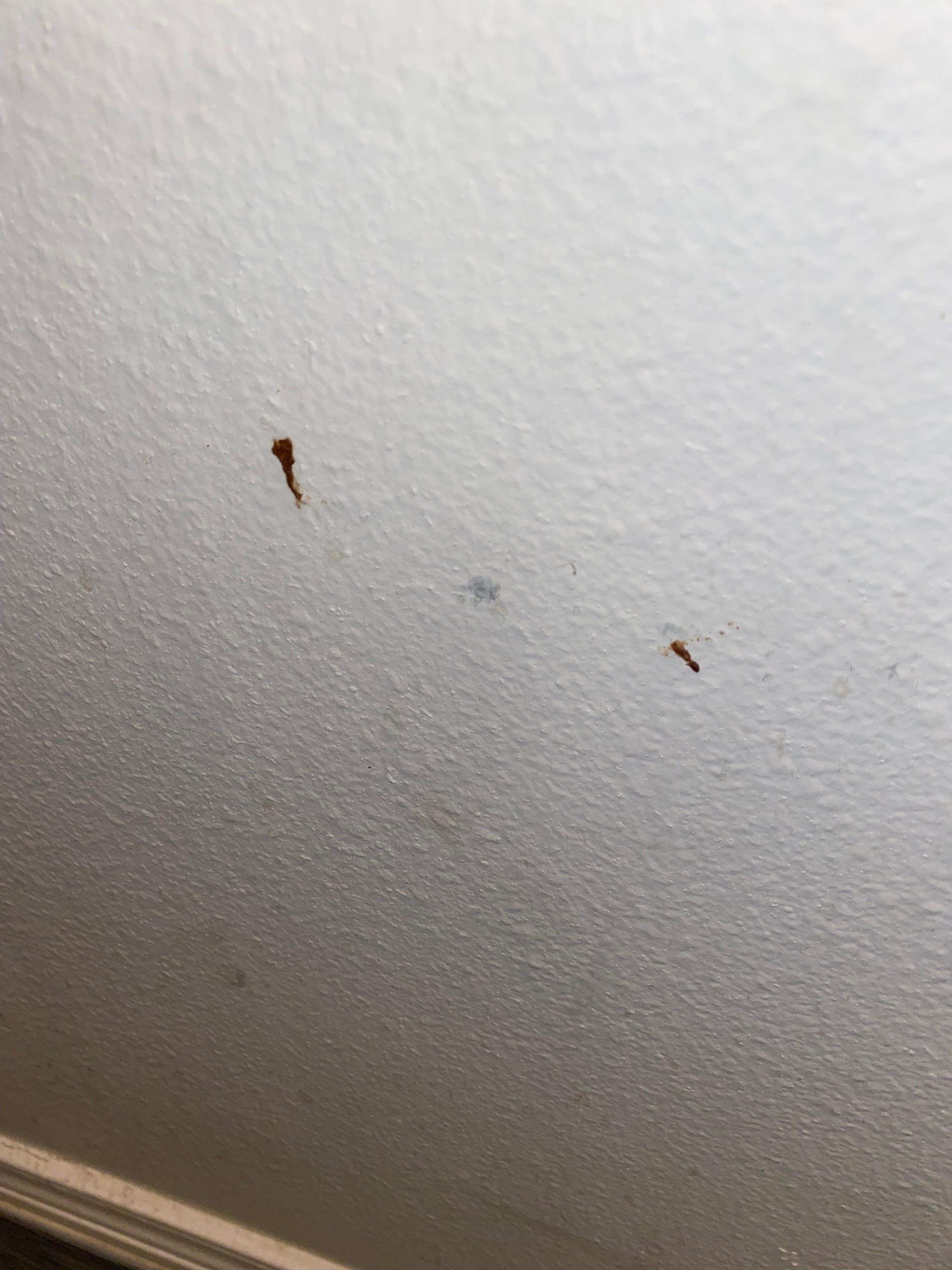 Directly across master bathroom toilet. I’ll let you figure it out what it is. 