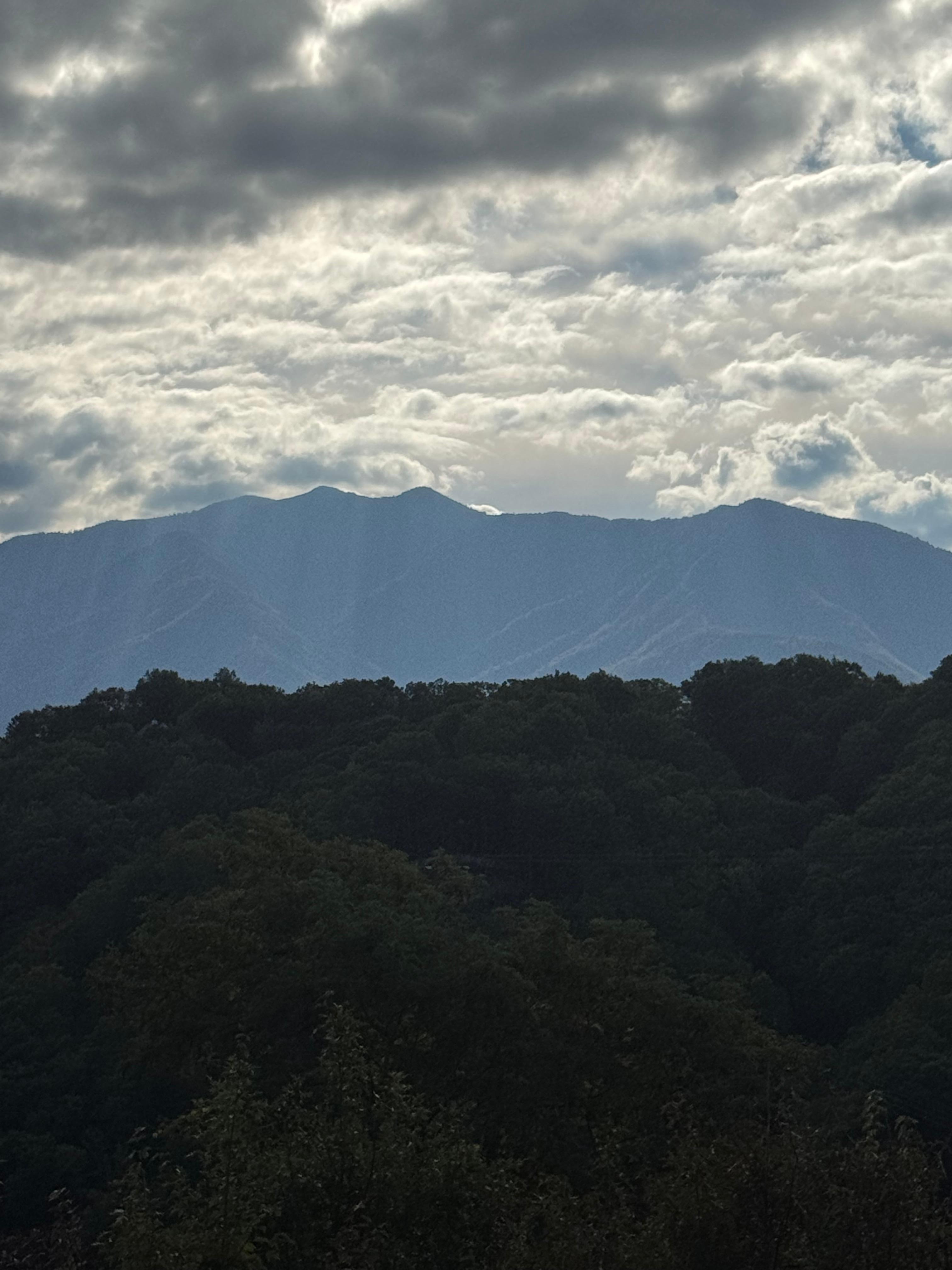 View from balcony, 10/11/25