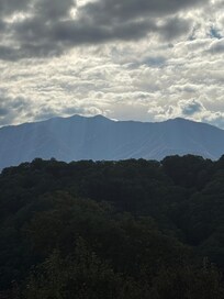 View from balcony, 10/11/25