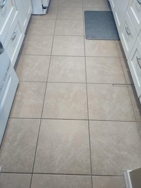June 16th morning, Kitchen floor. Zoom in to see the bugs.
