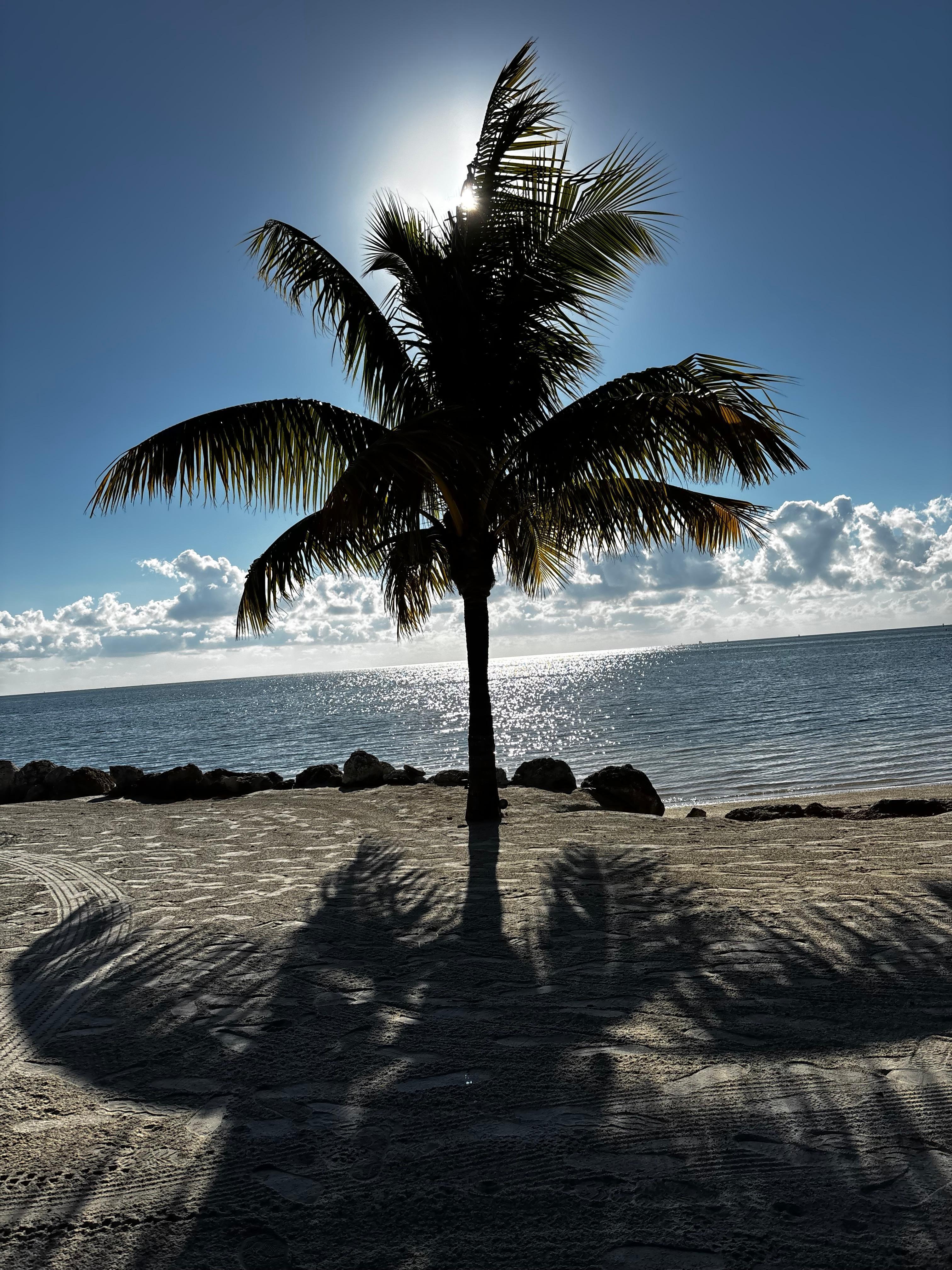 Property/waiting for yoga to start