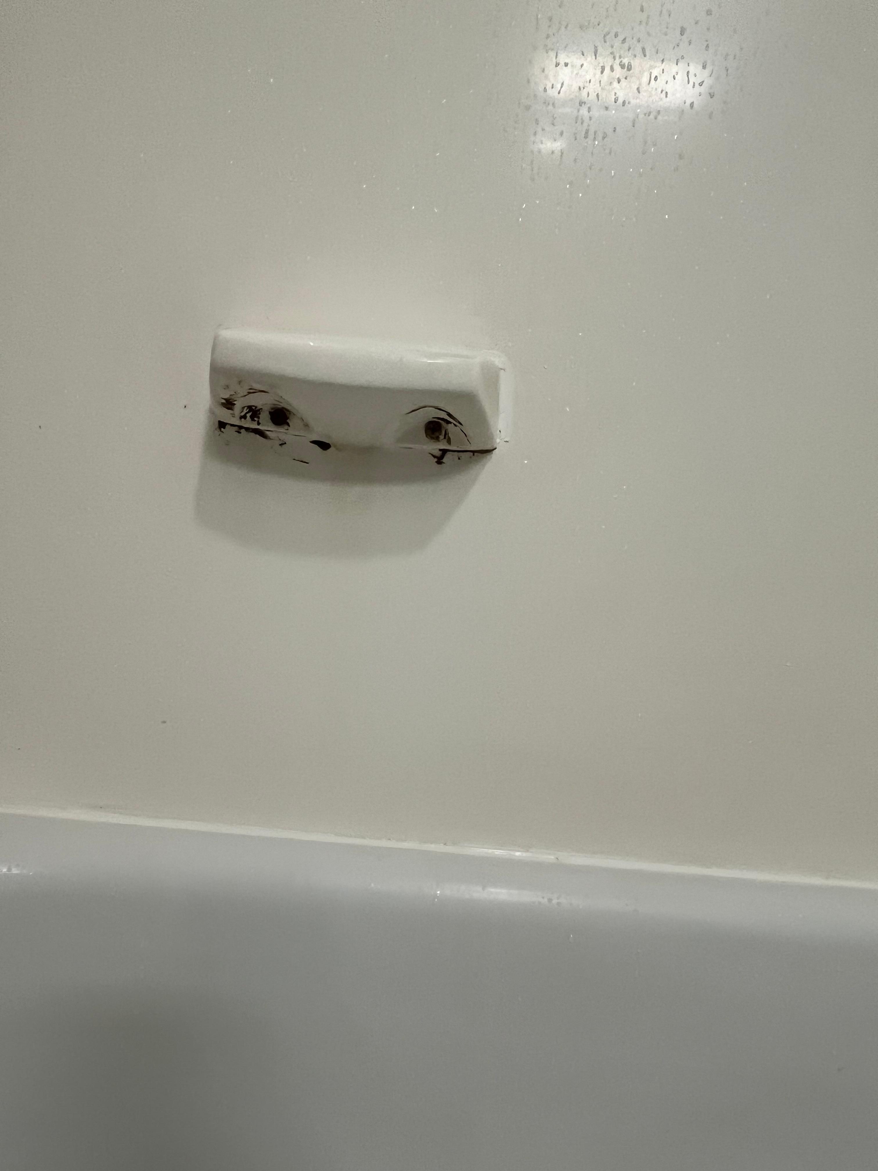 Bathroom mold