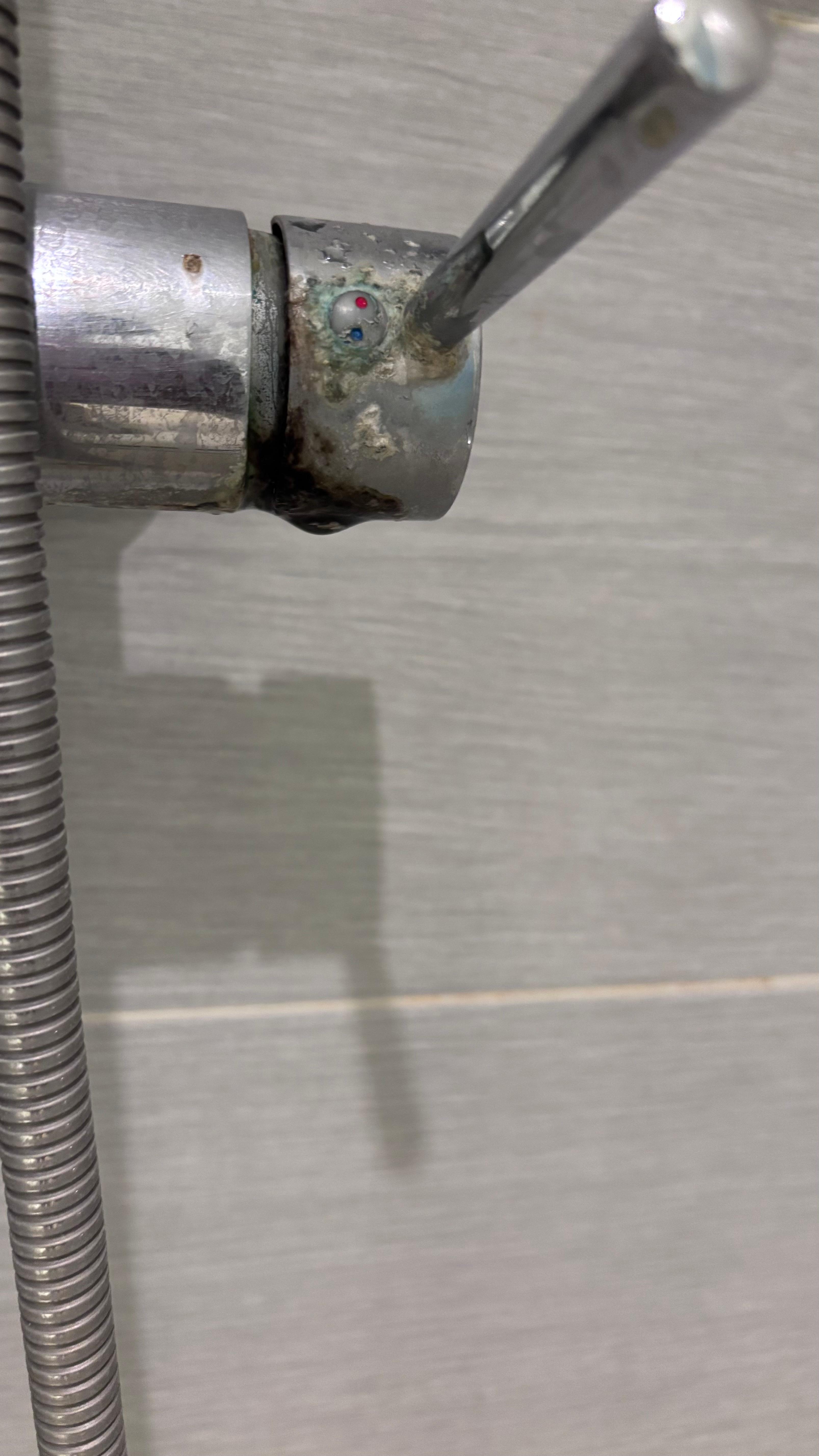 Mold on the shower handle 