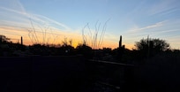 Sunset from back patio
