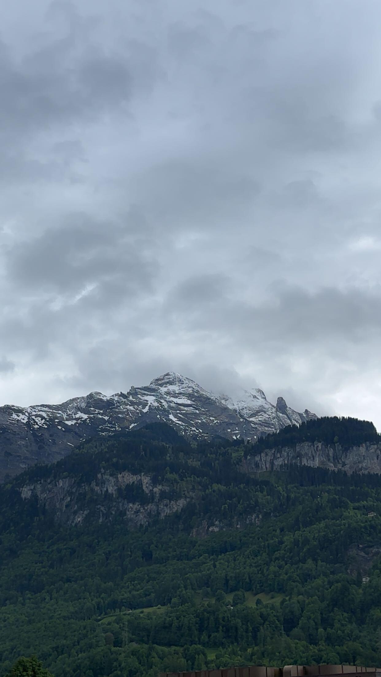 Mountain View from the room