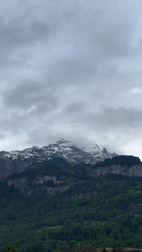 Mountain View from the room