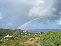 view from the back deck