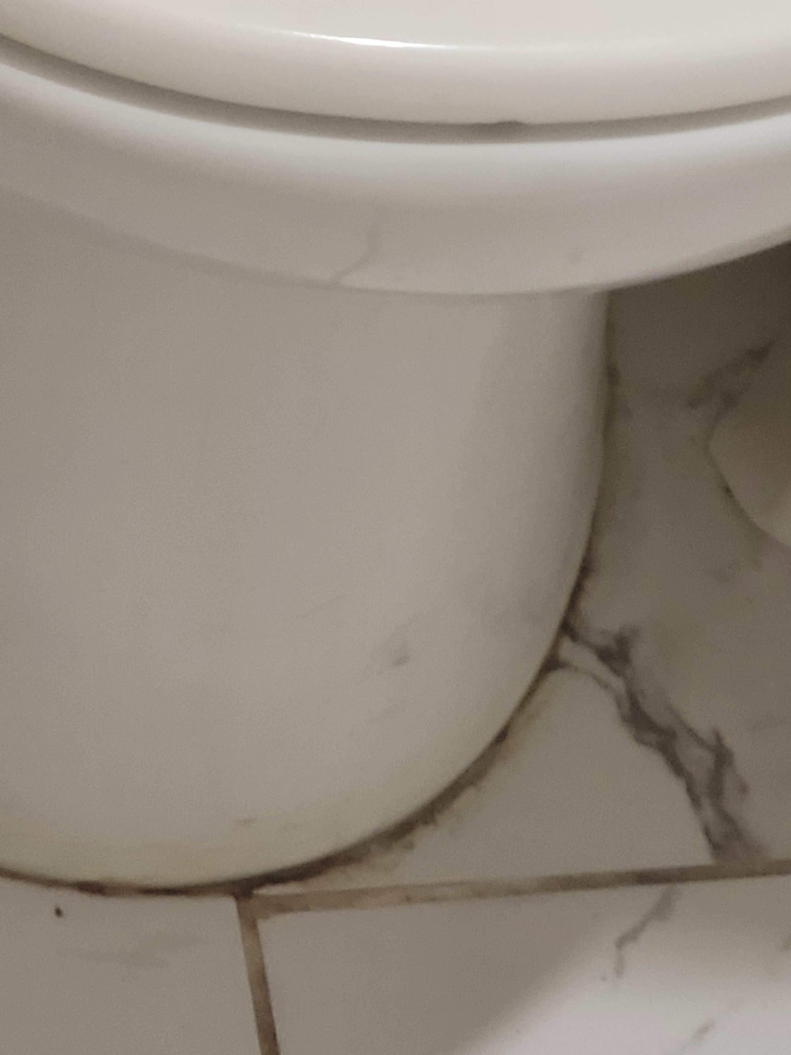 Dirty around toilet 