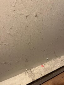 Wall behind bed
