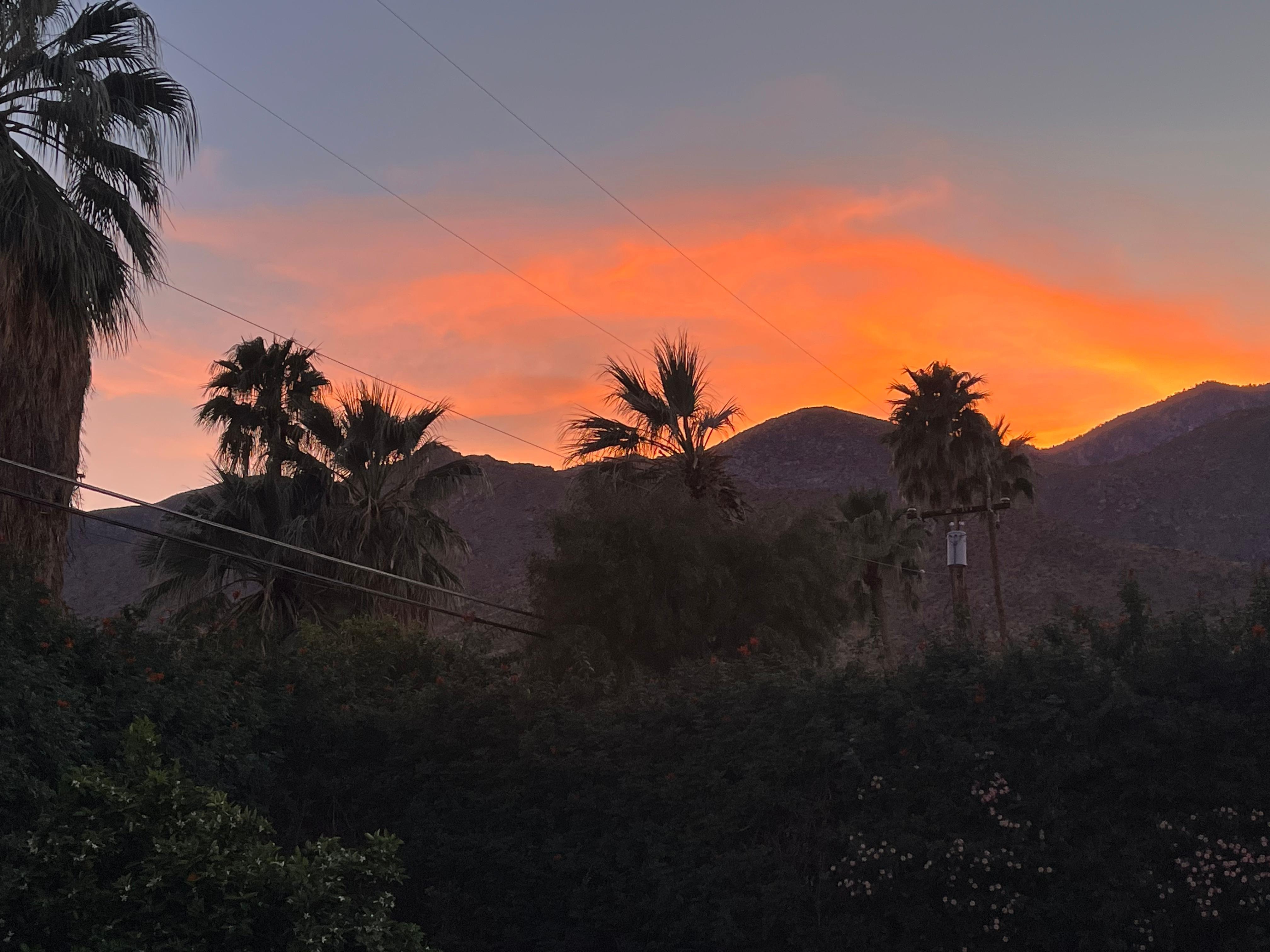 Sunset from backyard 