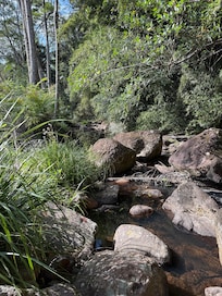 The creek