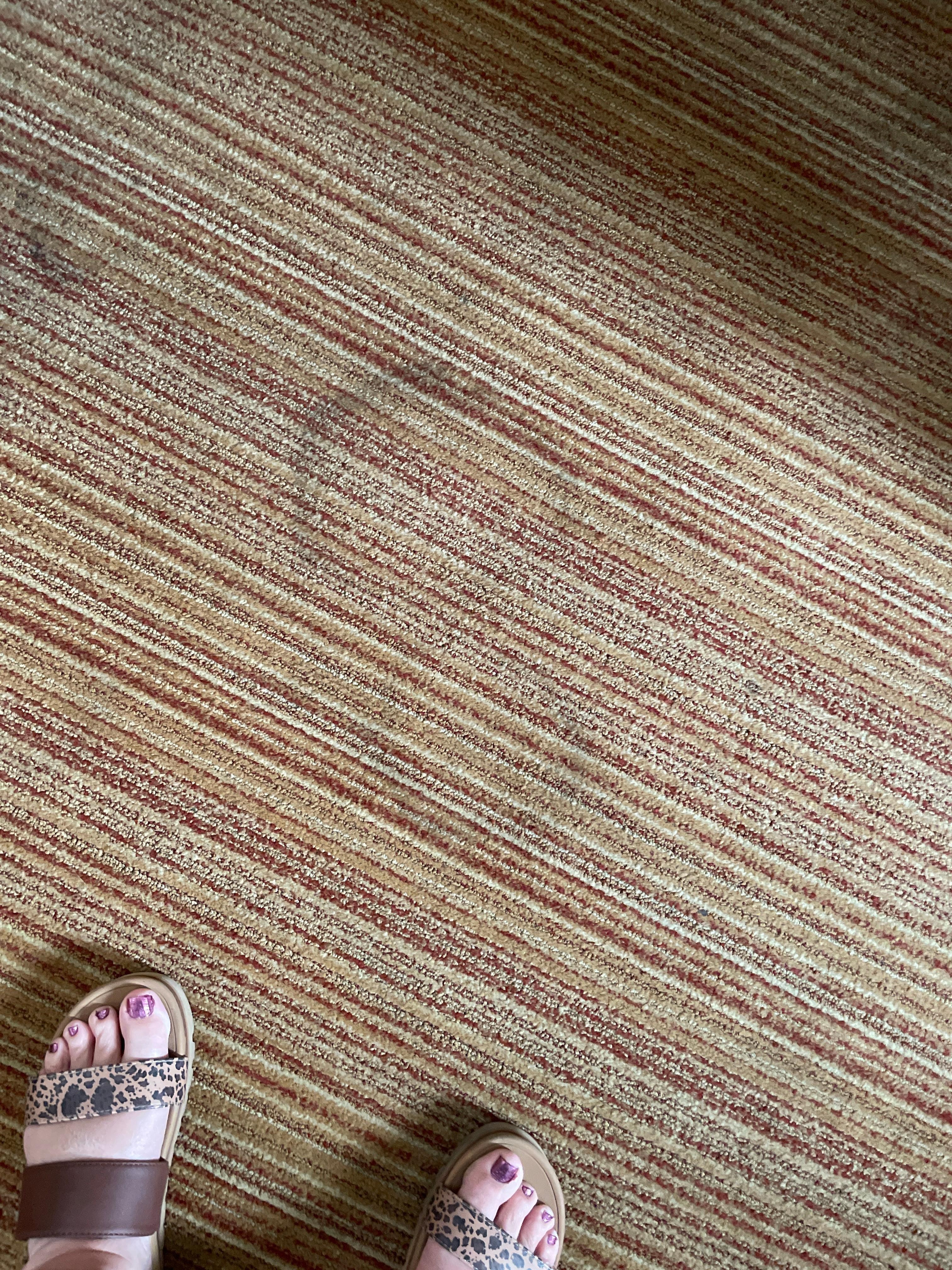 More pet stains with smell