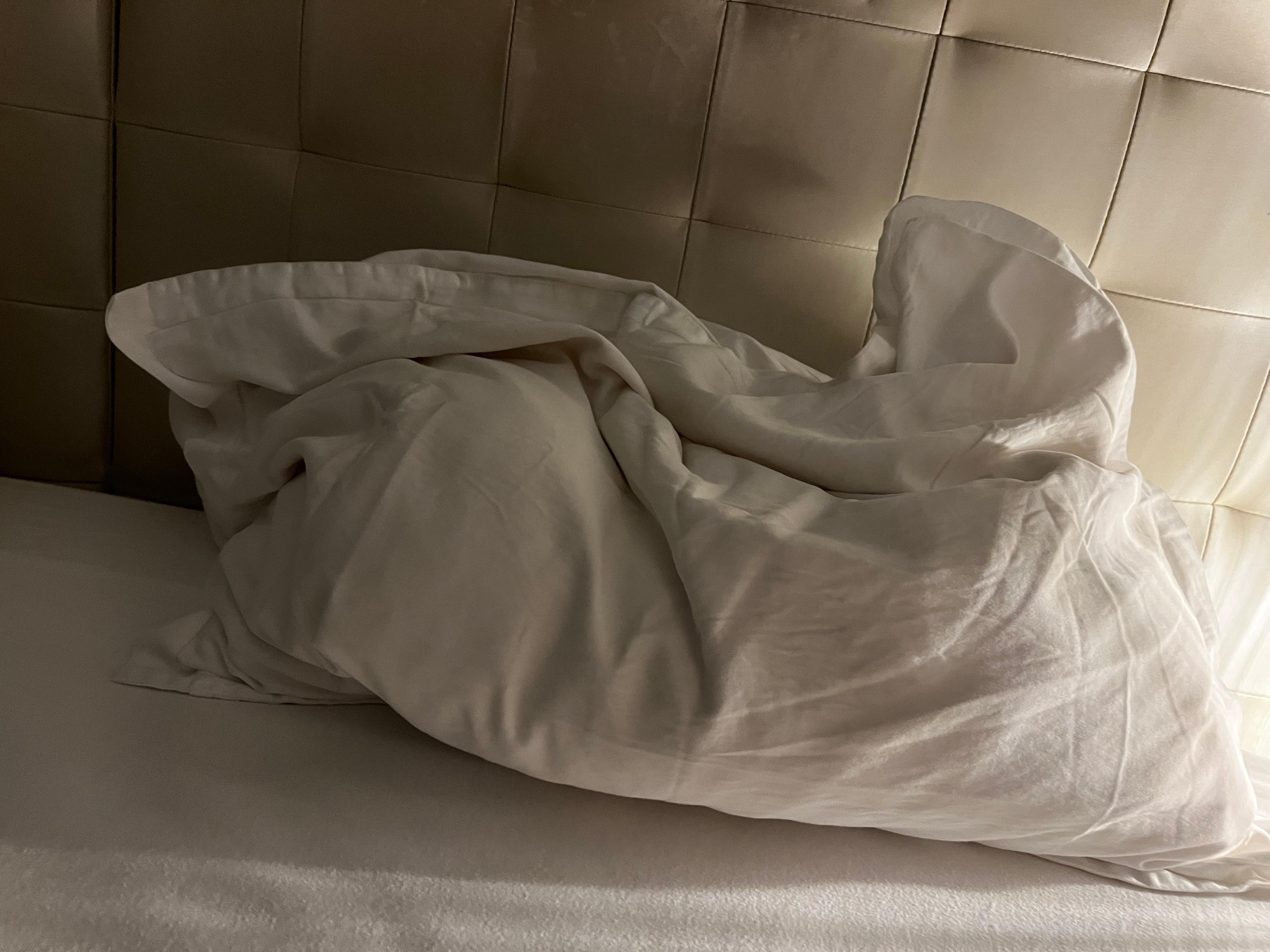 One of two flat pillows. It wasn’t even presented nicely, it was smushed down when we arrived.