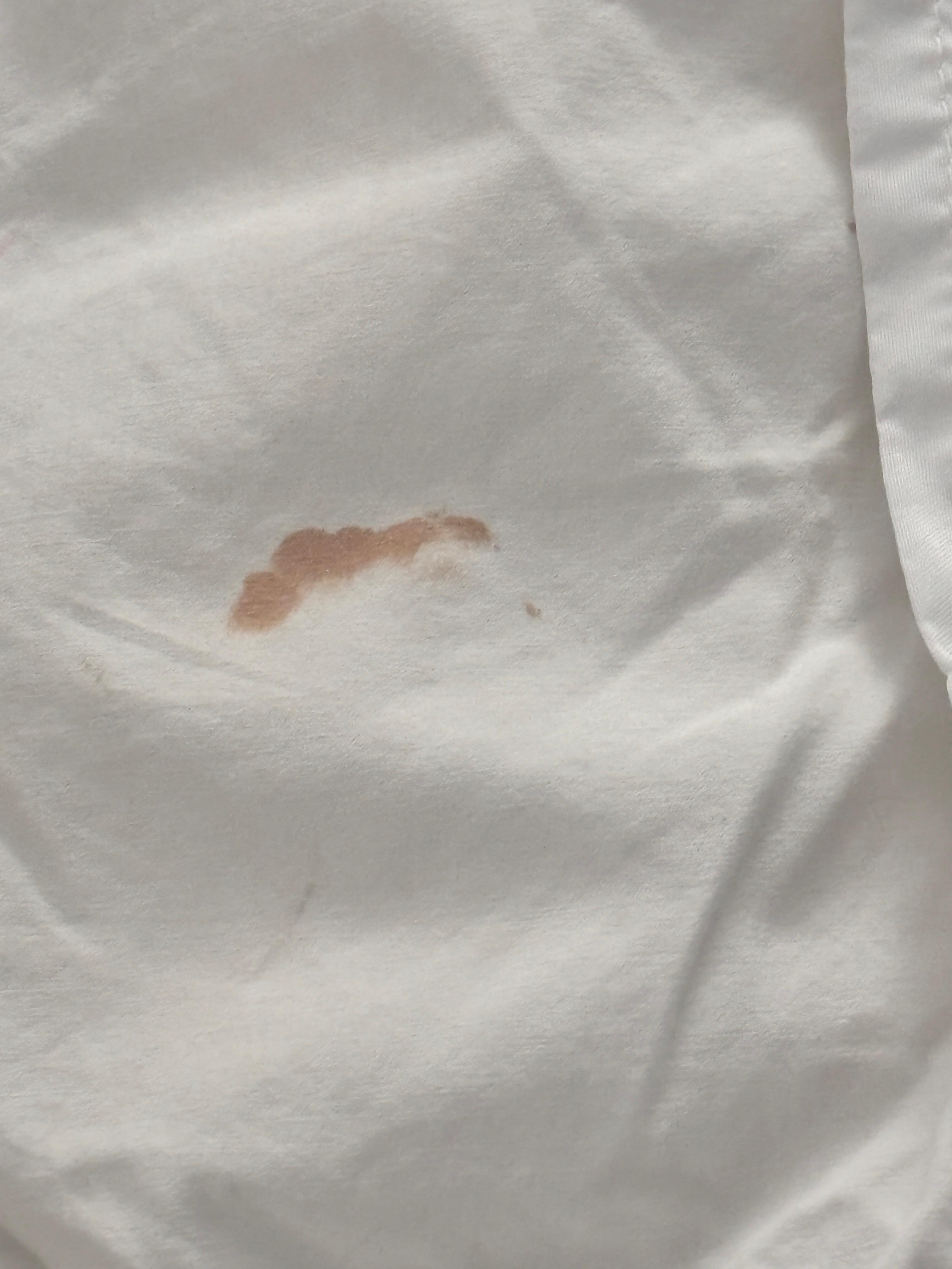 Possible blood stain 