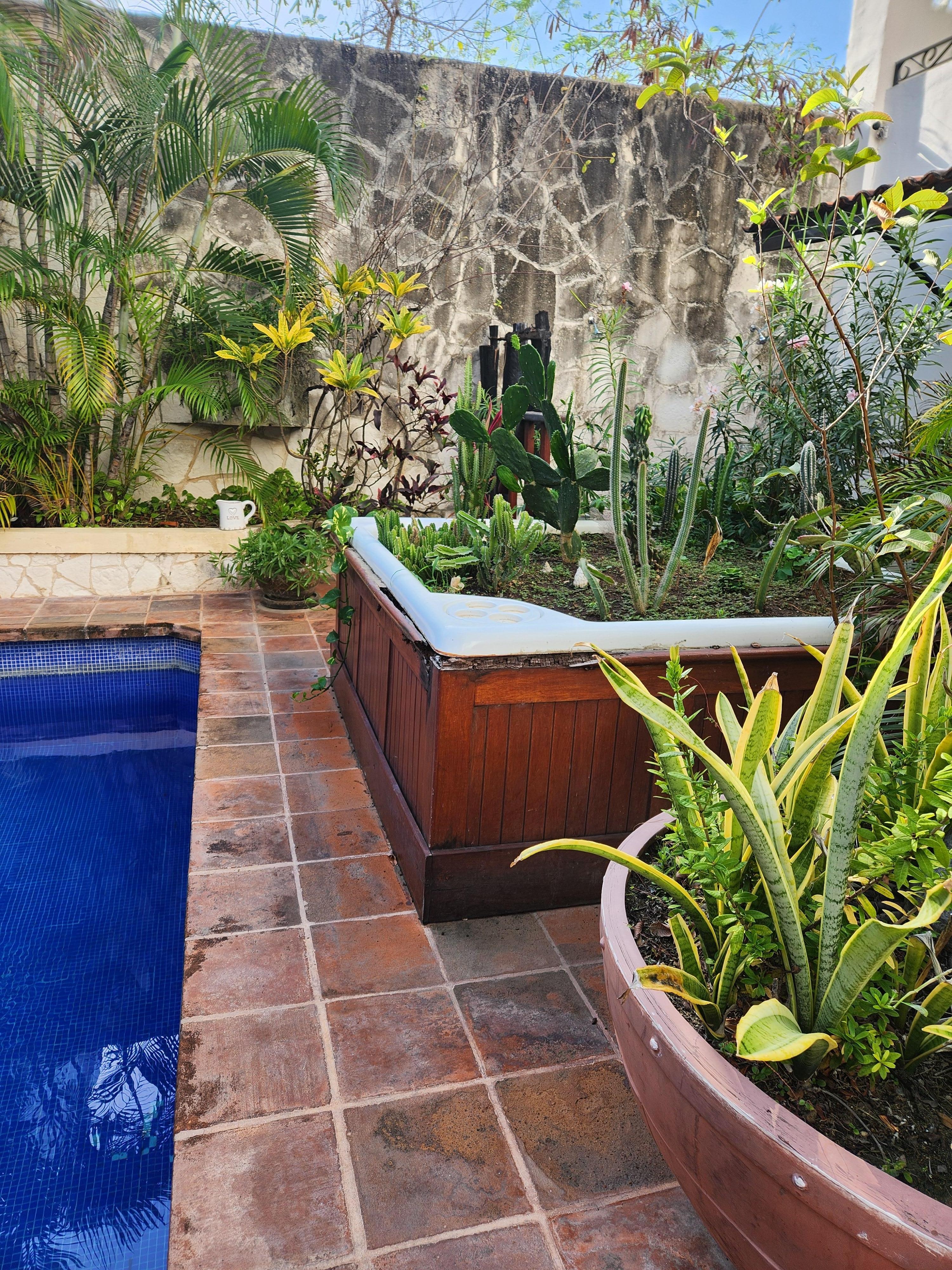 All hot tubs have been filled with bushes...even the roof top ones.