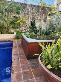 All hot tubs have been filled with bushes...even the roof top ones.