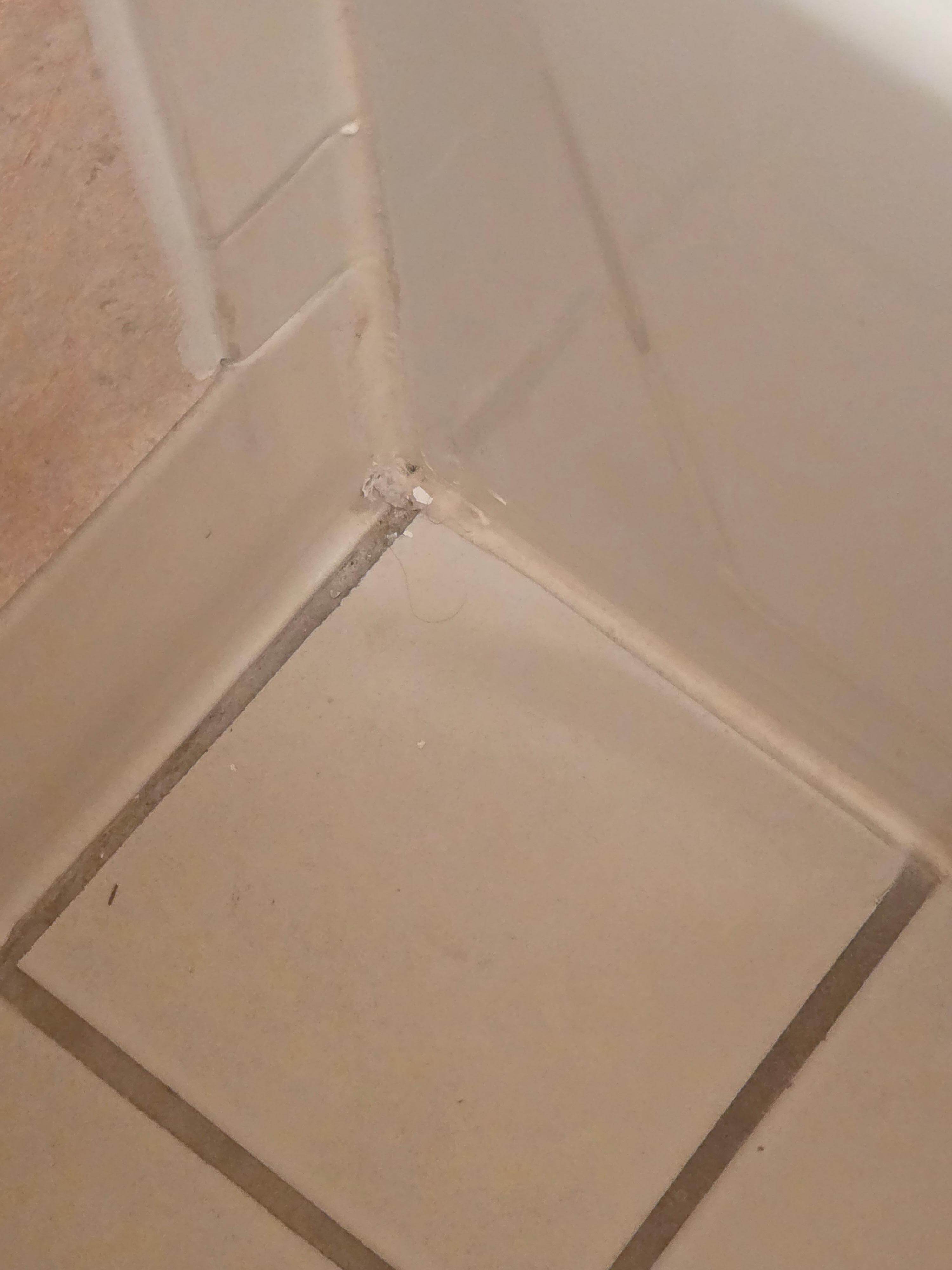 Bathroom tile in the corners were dirty