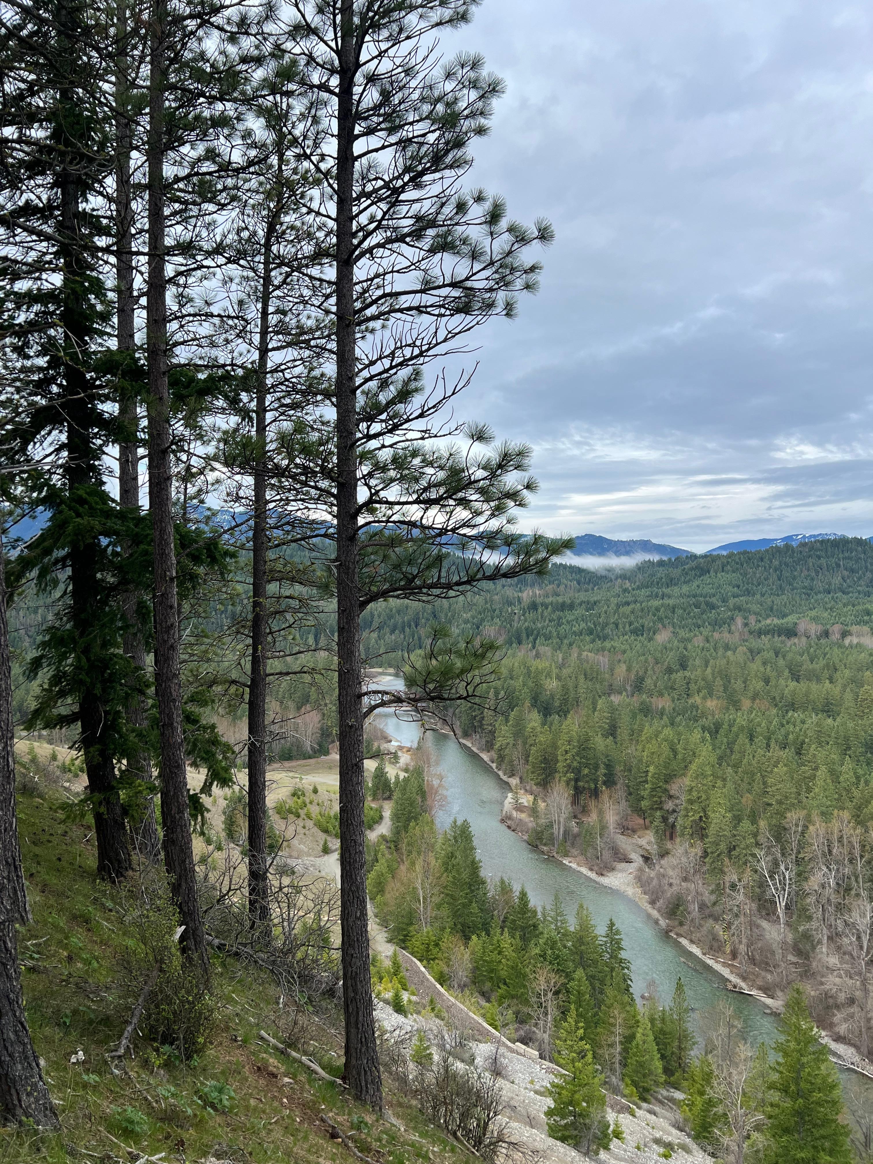 A view from a walk on a nearby trail. 