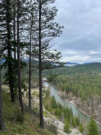 A view from a walk on a nearby trail.