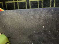 Moldy chair