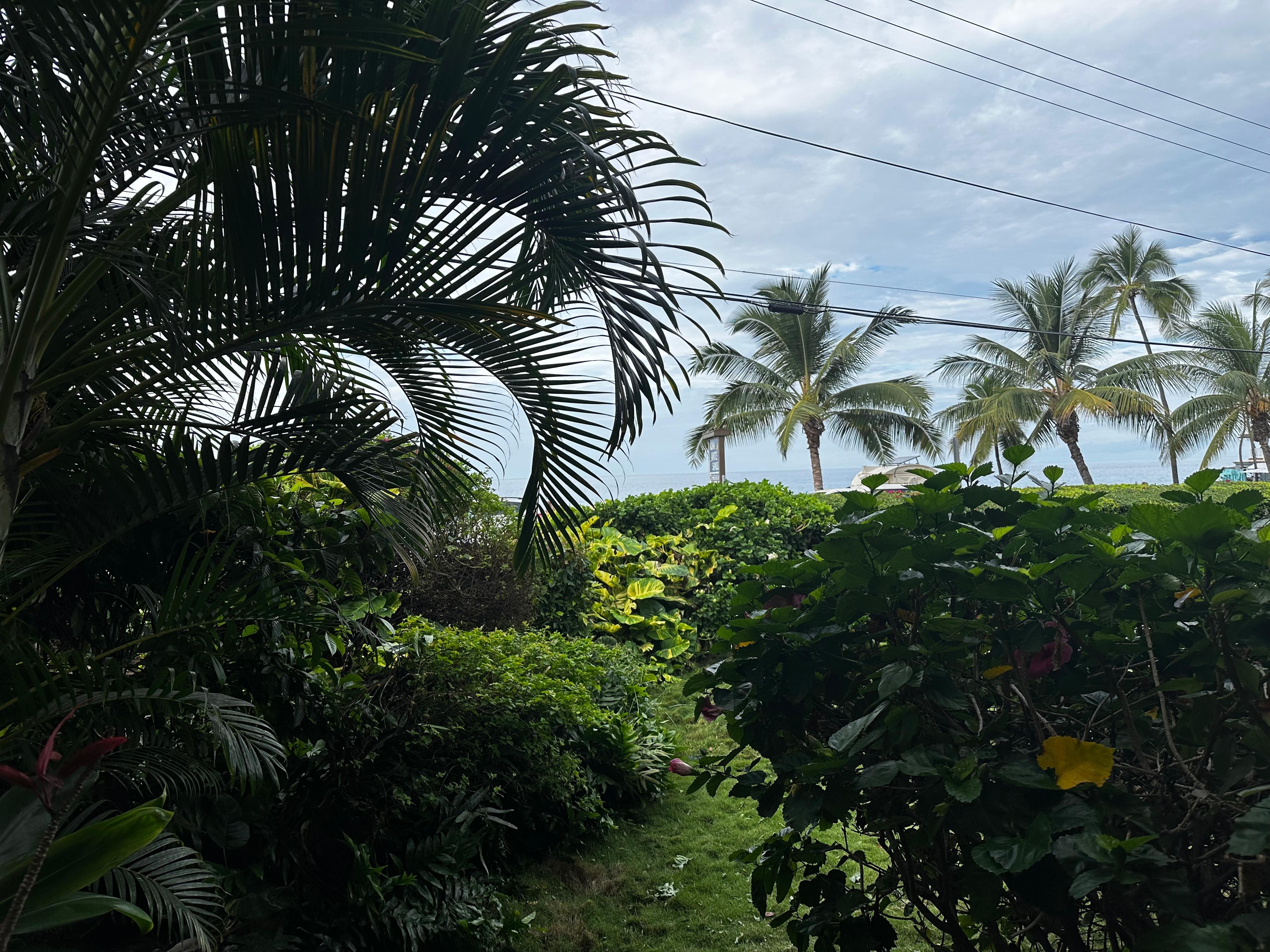 View from Lanai, great to listen to the ocean and the lifeguards across the street.
