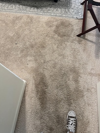 Carpet stains