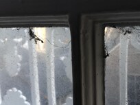 The window in the room 316.