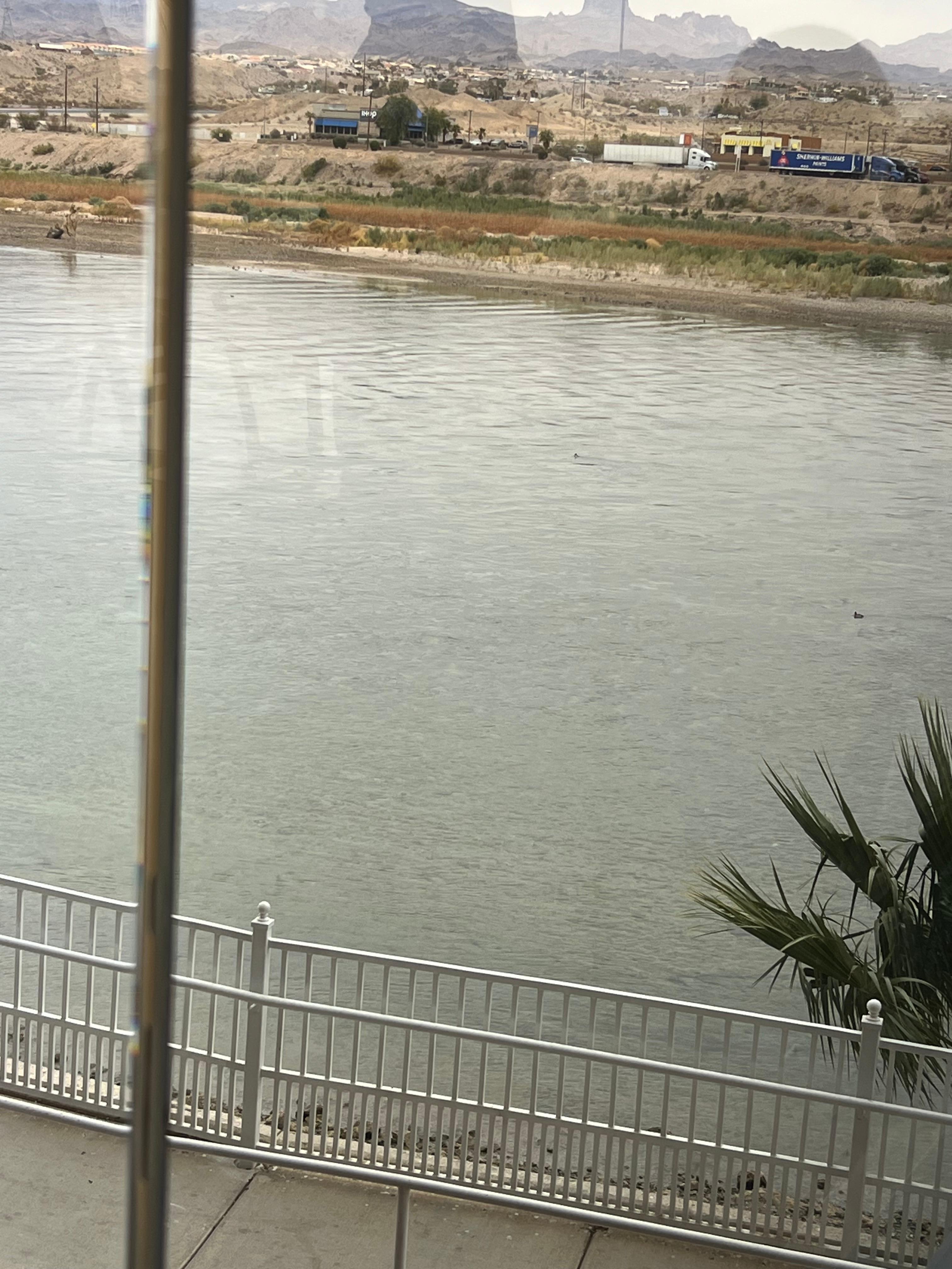 View of the Colorado River while enjoying the bountiful buffet