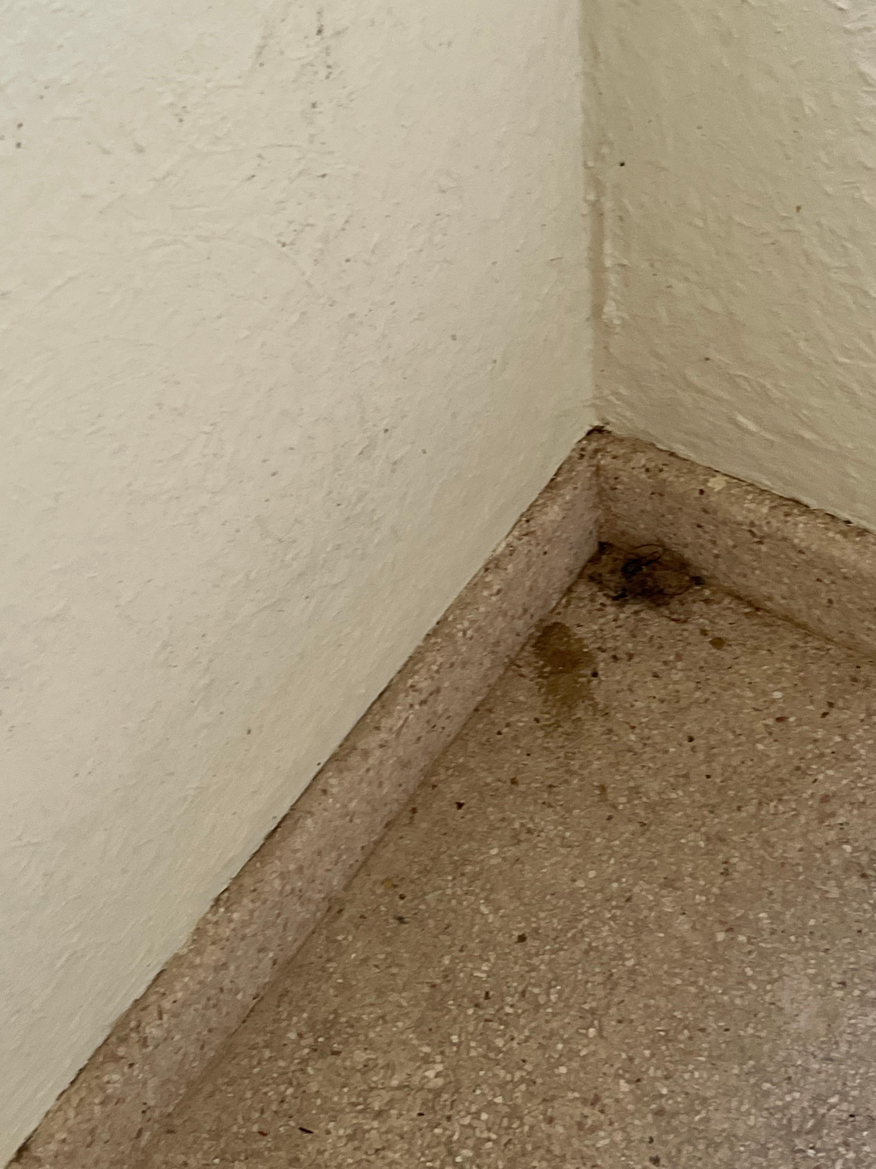 Balls of hair/ dust on stairs leading to room. Was not cleaned at all for the 2 nights we were there. A very disappointing and unpleasant sight, especially for a resort which claims to be 5*