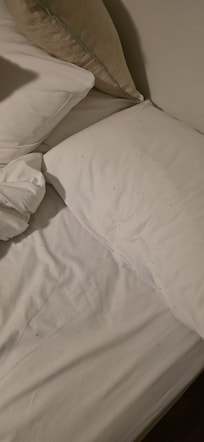 fluff on sheets/pillow