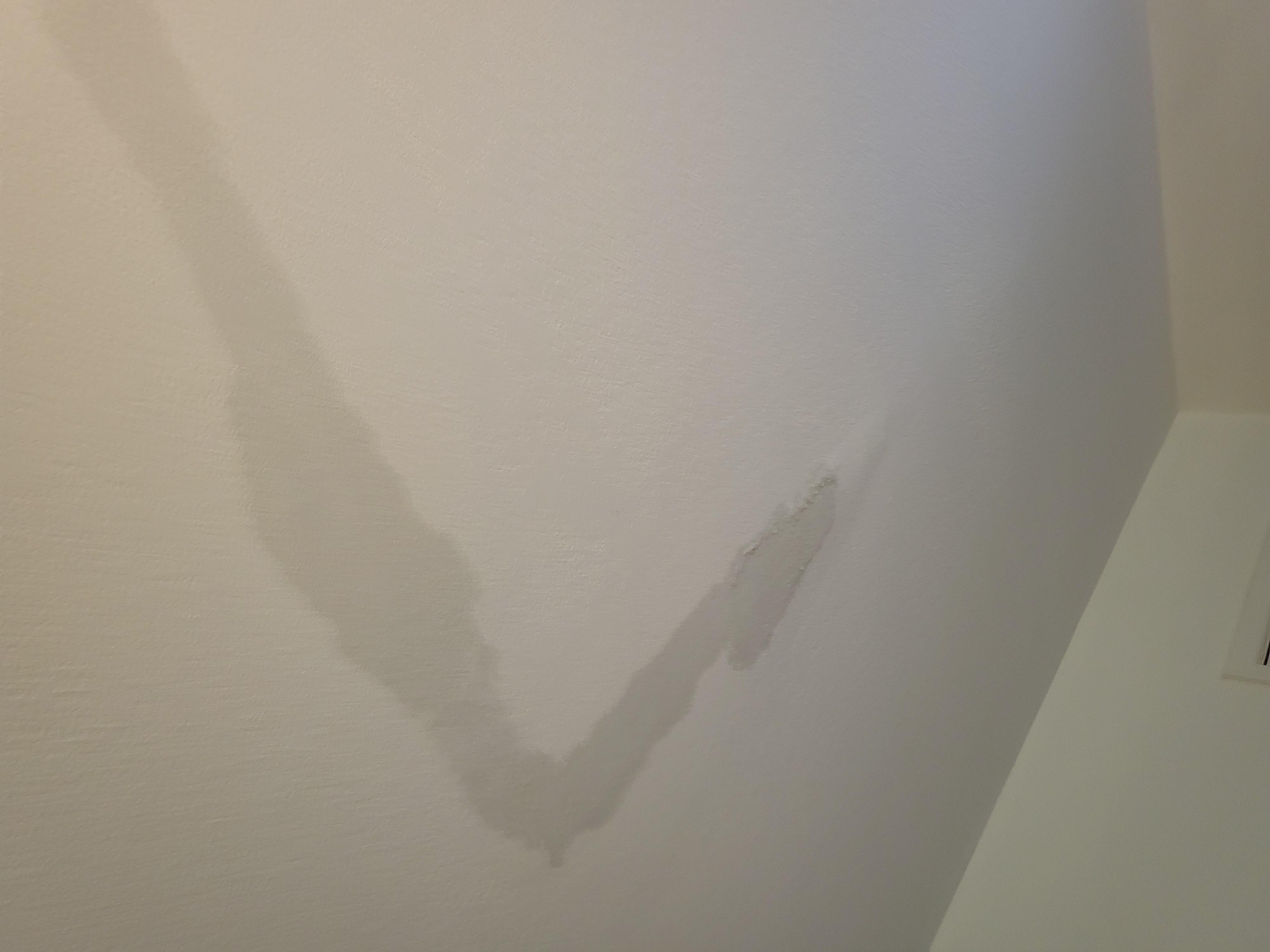 Ceiling wet spots in master bedroom