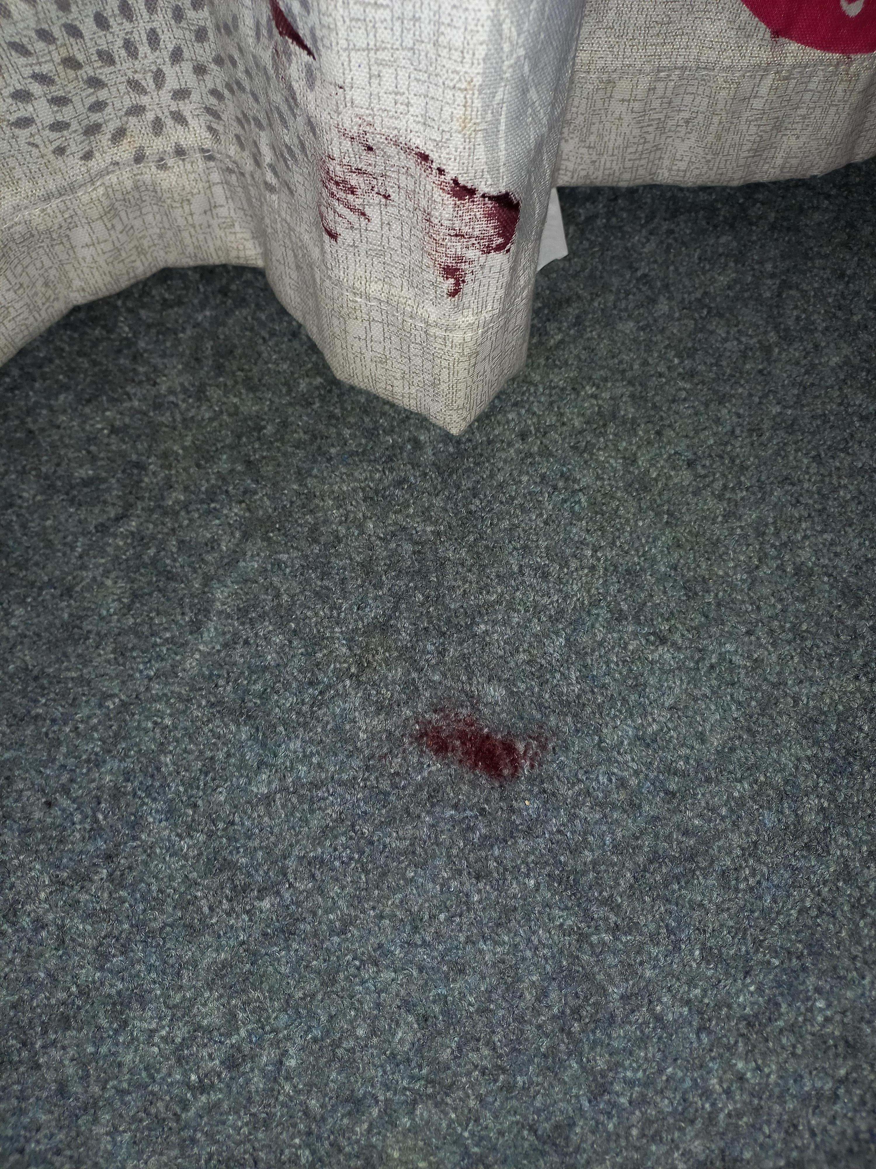 Blood on floor and curtain in lounge