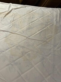 Pee stain on mattress on sofa
