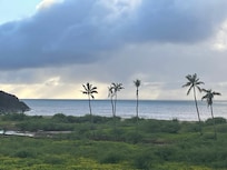 View from the condo