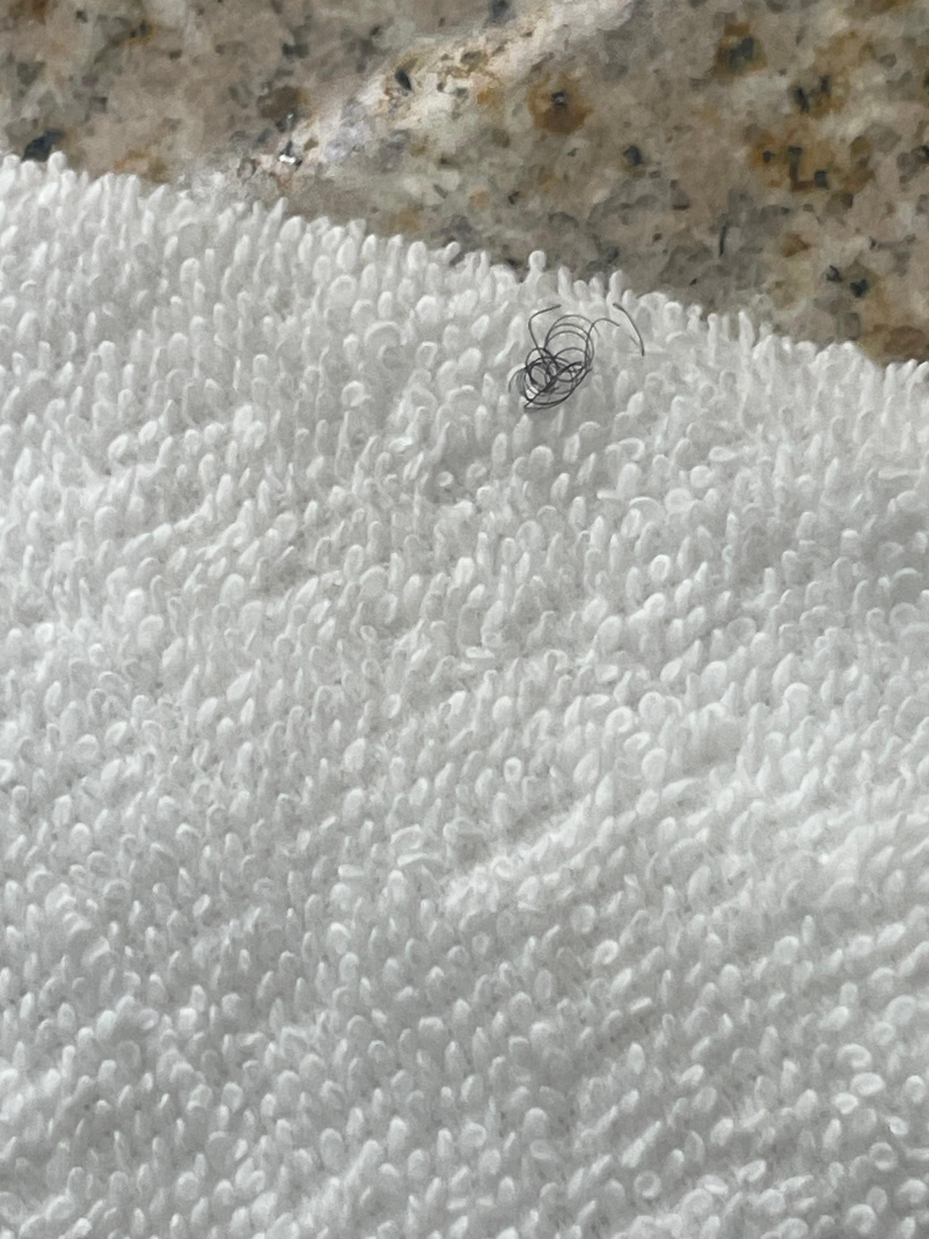 Hair was on all towels n wash clothes