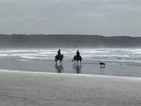 Cape Bridgewater