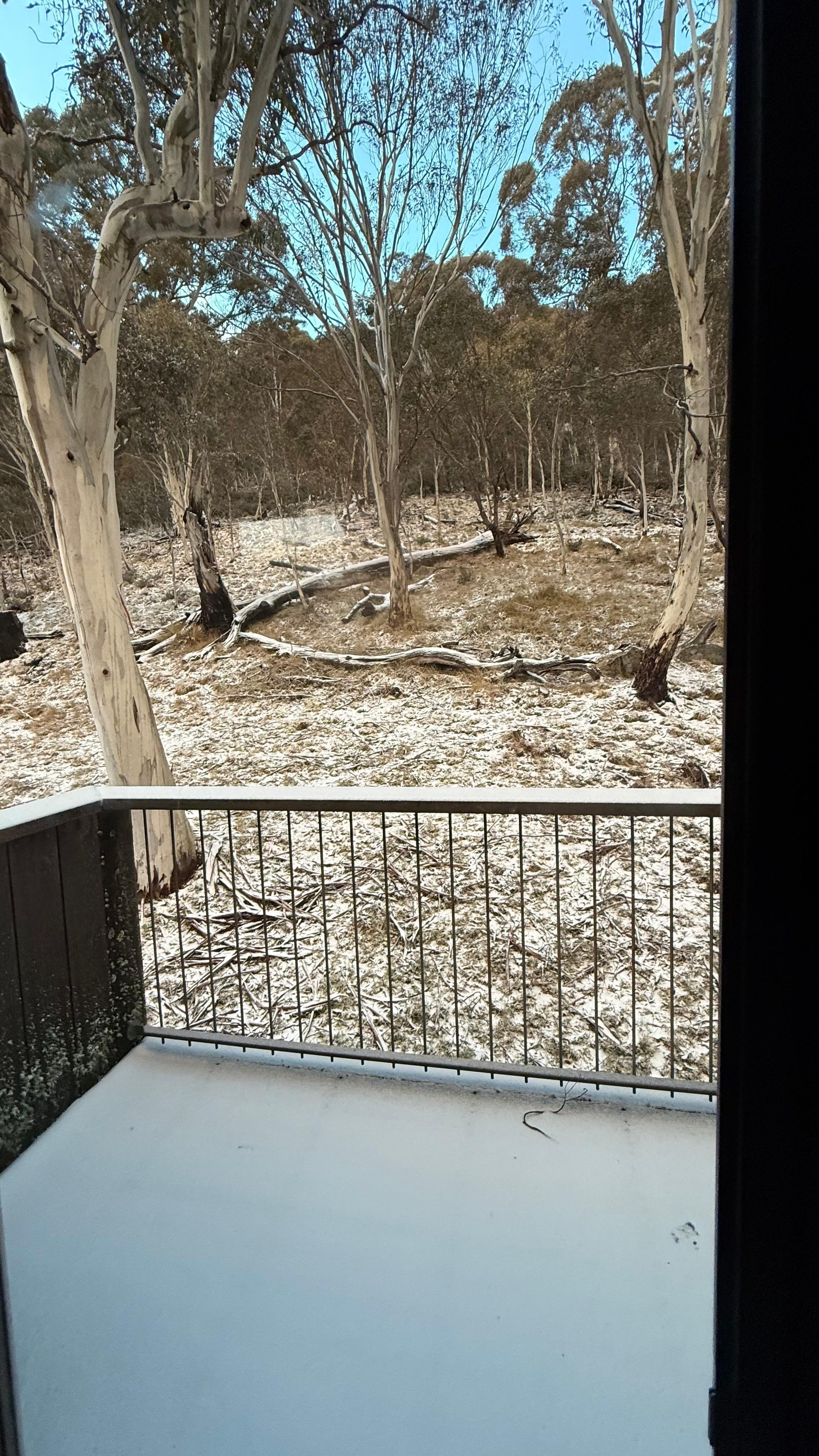 View from loft window, private and we could deer watch 