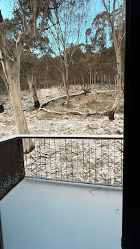 View from loft window, private and we could deer watch