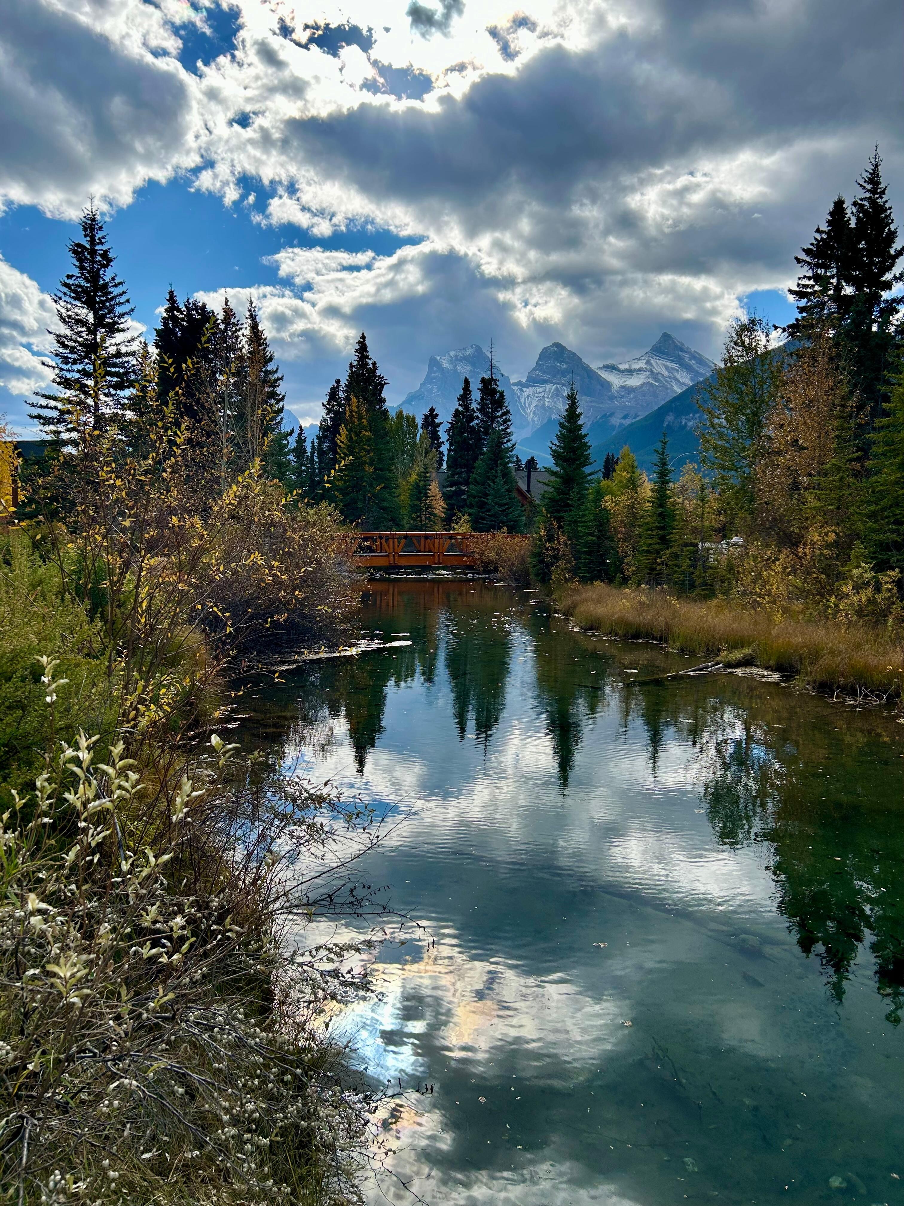 Walk along the creek