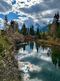 Walk along the creek